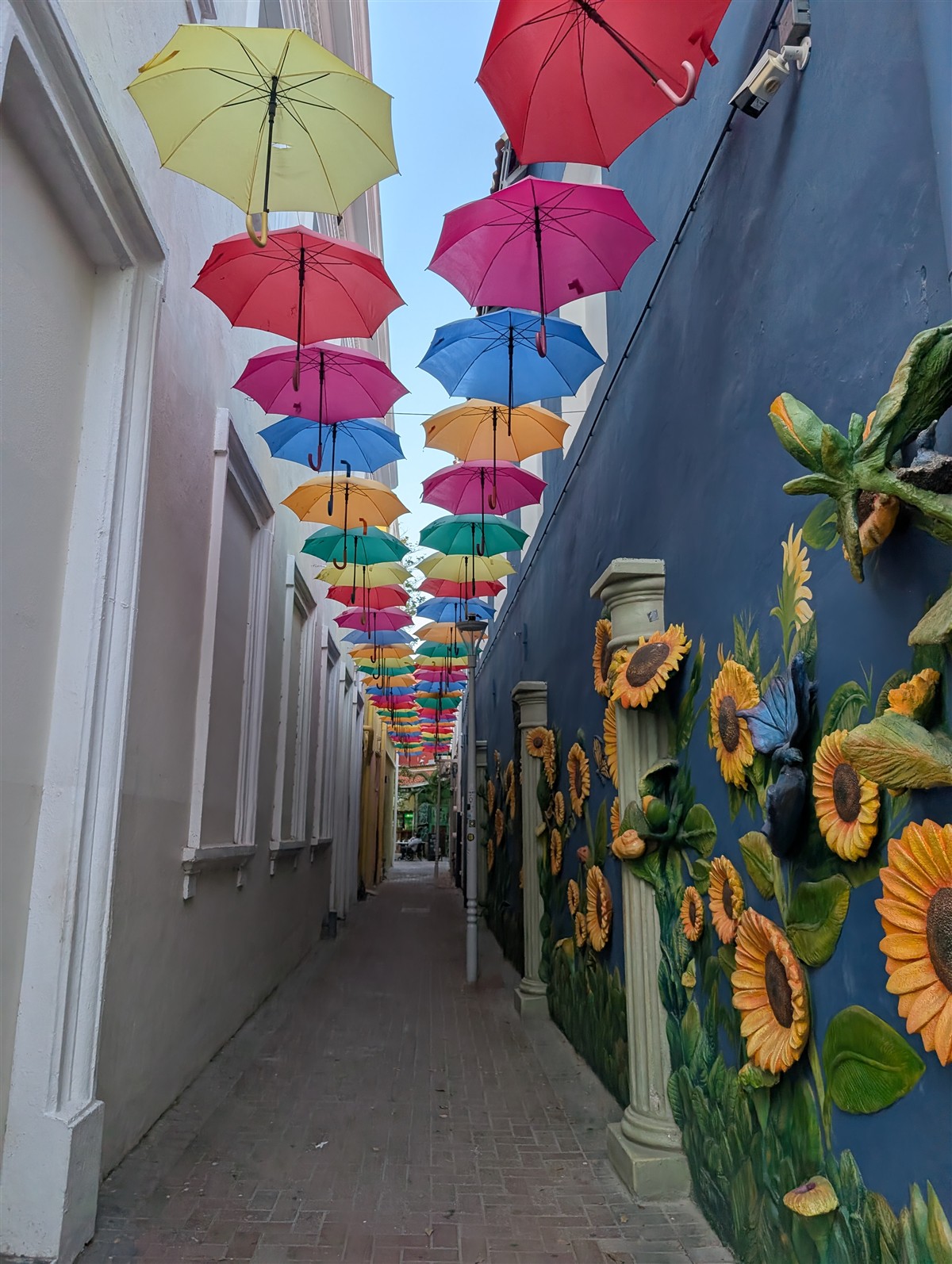 Een straatje in Willemstad met kleurrijke paraplu’s en bloemen op de muur